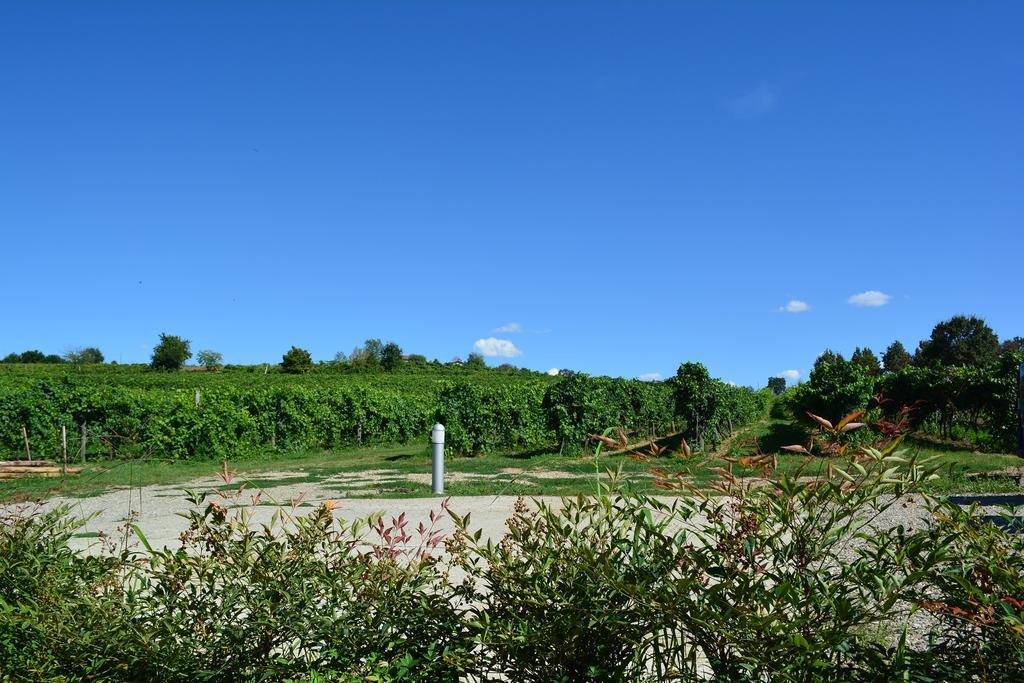 Le Stanze Di Bacco Villa Monteveglio Dış mekan fotoğraf