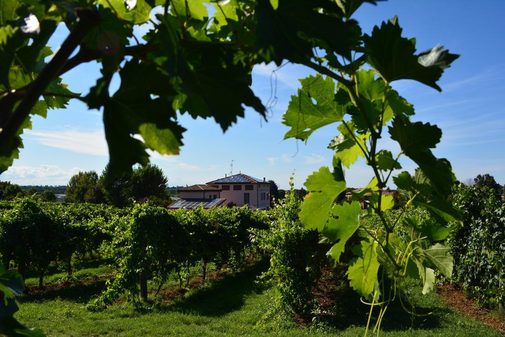 Le Stanze Di Bacco Villa Monteveglio Dış mekan fotoğraf