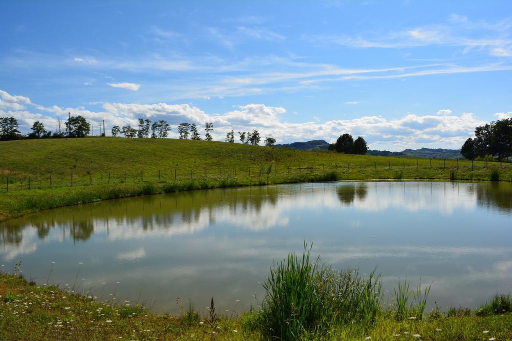 Le Stanze Di Bacco Villa Monteveglio Dış mekan fotoğraf