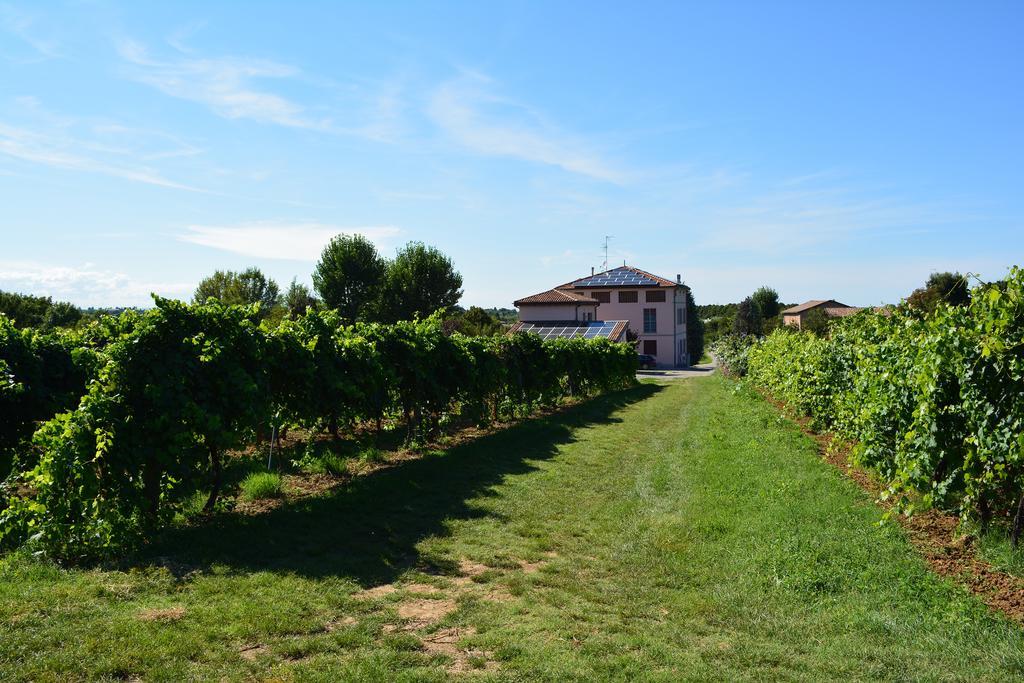 Le Stanze Di Bacco Villa Monteveglio Dış mekan fotoğraf